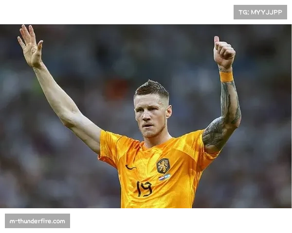 霍芬海姆前锋阿斯拉尼攻入5球 成球队第二得分点