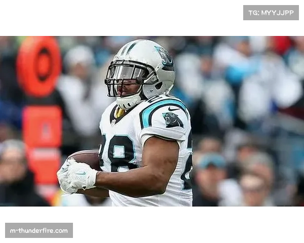 黑豹队击败猎鹰 跑卫地面进攻贡献达阵